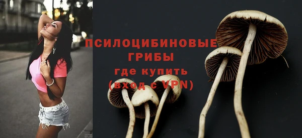 амфетамин Абинск